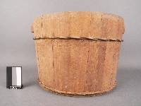 藏品(飯桶)的圖片