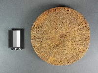 藏品(茶皂)的圖片