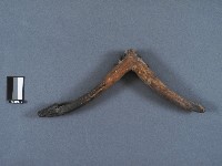 藏品(牛軛構件)的圖片