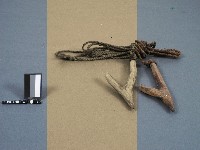 藏品(木鉤)的圖片
