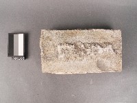 藏品(方磚)的圖片