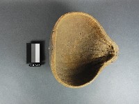 藏品(瓠杓)的圖片