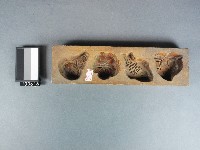 藏品(糕模)的圖片