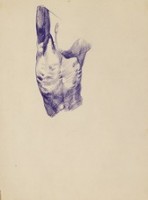 藏品(裸體速寫原子筆素描)的圖片