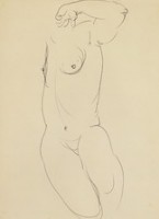 藏品(裸體速寫原子筆素描)的圖片