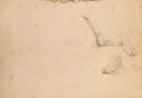 藏品(素描)的圖片