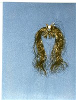 藏品(撇仔鬚)的圖片