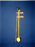 藏品(盪子仔絃（甲）)的圖片