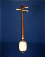 藏品(南三弦（台皮）甲)的圖片