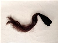 藏品(龜鬃)的圖片