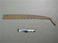 藏品(大鋸子)的圖片