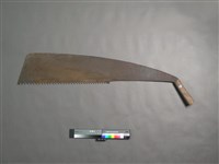 藏品(大鋸子)的圖片