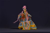 藏品(布袋戲偶（齊眉旦）)的圖片