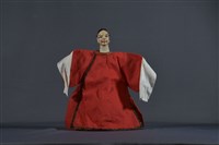 藏品(布袋戲偶（反面生）)的圖片