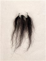 藏品(布袋三牙)的圖片