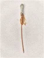 藏品(布袋鎗)的圖片