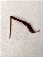 藏品(布袋拂塵)的圖片