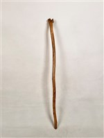 藏品(拐杖)的圖片