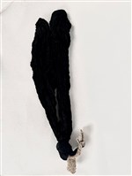 藏品(屍首)的圖片