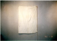 藏品(裙襯)的圖片