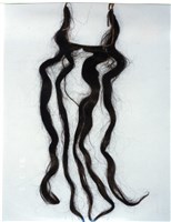 藏品(三牙)的圖片