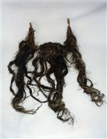 藏品(三牙)的圖片