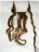 藏品(三牙)的圖片