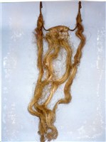 藏品(三牙)的圖片