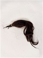 藏品(髮束)的圖片