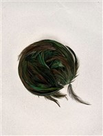 藏品(雞毛戴)的圖片