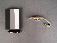 藏品(戰國鉤)的圖片