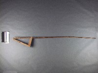 藏品(蟲刷(捕蟲梳))的圖片