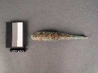 藏品(錯金戰國鉤)的圖片