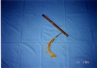 藏品(品仔)的圖片