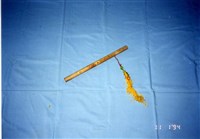 藏品(品仔)的圖片