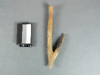 藏品(木鉤)的圖片