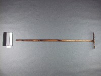 藏品(搔爪子)的圖片