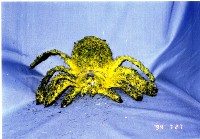 藏品(布袋戲偶（蜘蛛形）)的圖片