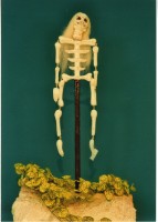 藏品(布袋戲偶（骷髏架）)的圖片