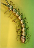 藏品(布袋戲偶（蜈蚣形）)的圖片