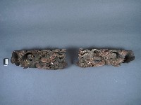 藏品(魚龍)的圖片