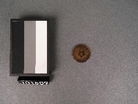 藏品(古錢(開國紀念幣))的圖片