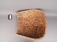 藏品(畚箕)的圖片