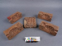 藏品(木製糖龜五片合印模)的圖片