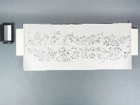 藏品(吉祥圖示版畫)的圖片