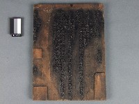 藏品([疏文]木雕版)的圖片