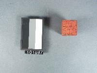 藏品(金紙印)的圖片