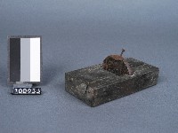 藏品(刨刀)的圖片