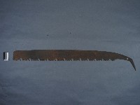 藏品(五孔鋸)的圖片