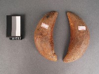 藏品(竹杯筊)的圖片